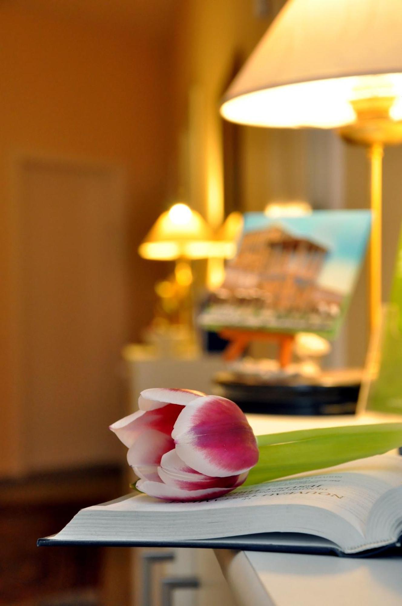 Hotel Apadana Frankfurt Francoforte sul Meno Esterno foto